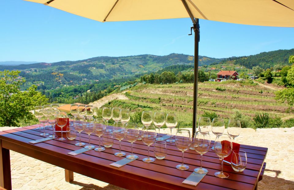 Celorico De Basto: Quinta De Santa Cristina Winery Tour - Introduction to Vinho Verde Region