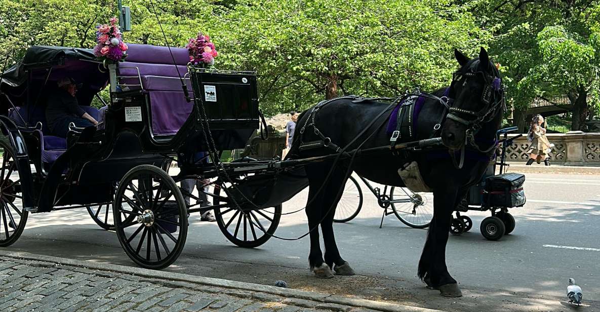 Central Park Horses Carriage Rides - Pricing and Group Size