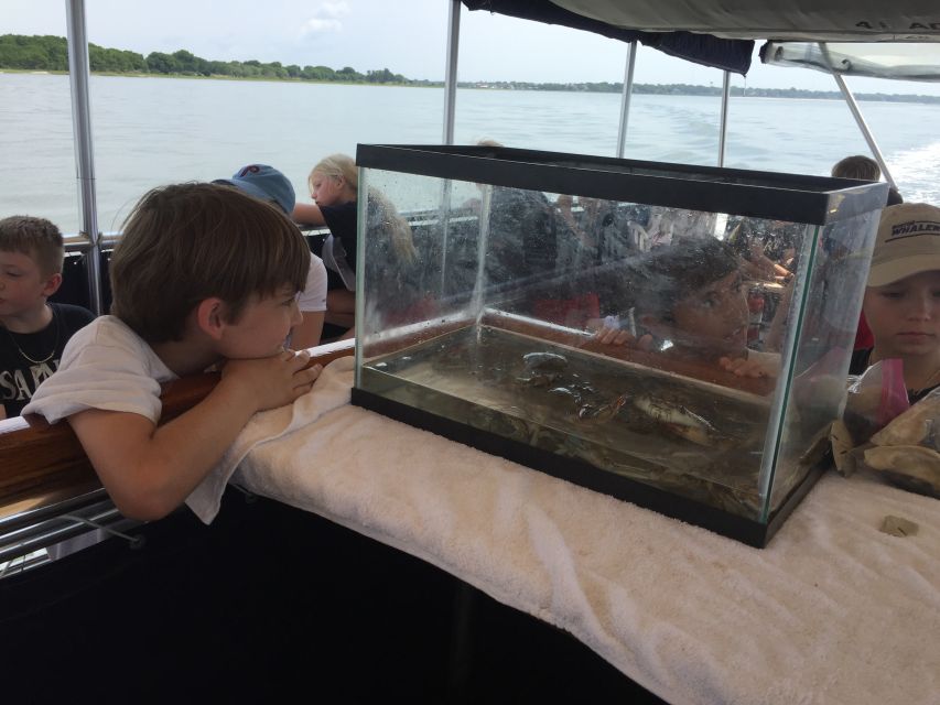 Charleston: Morris Island Nature Boat Tour With Naturalist - Customer Reviews