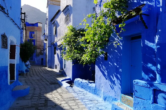 Chefchaouen Private Full Day Excursion & Panoramic of Tangier - Exploring Chefchaouen