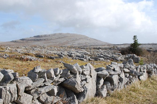 Cliffs of Moher Day Tour From Cork: Including the Wild Altanic Way - Experiencing Limerick and Bunratty Castle