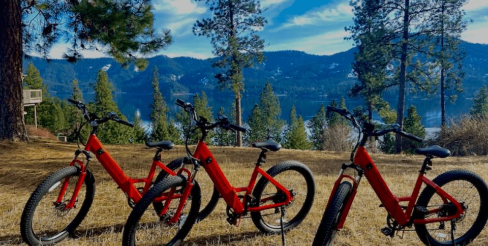 Coeur D'Alene: E-Bike Rental - Exploring Coeur Dalene on E-Bikes