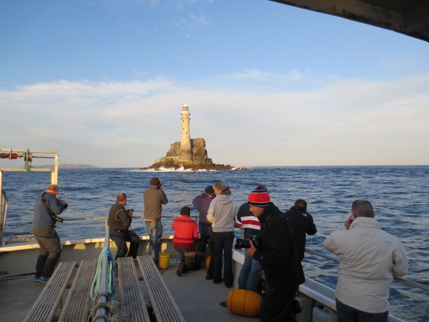 County Cork: Whale & Dolphin Watching Boat Trip - What to Bring