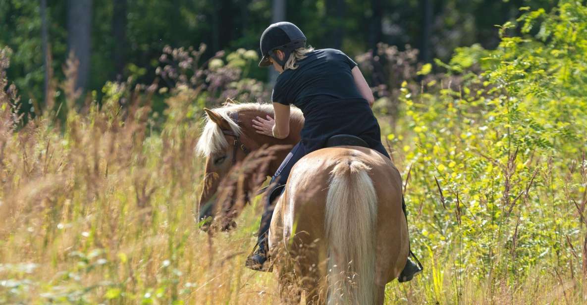 Cruseilles: Horseback Riding in the Countryside - Booking Information