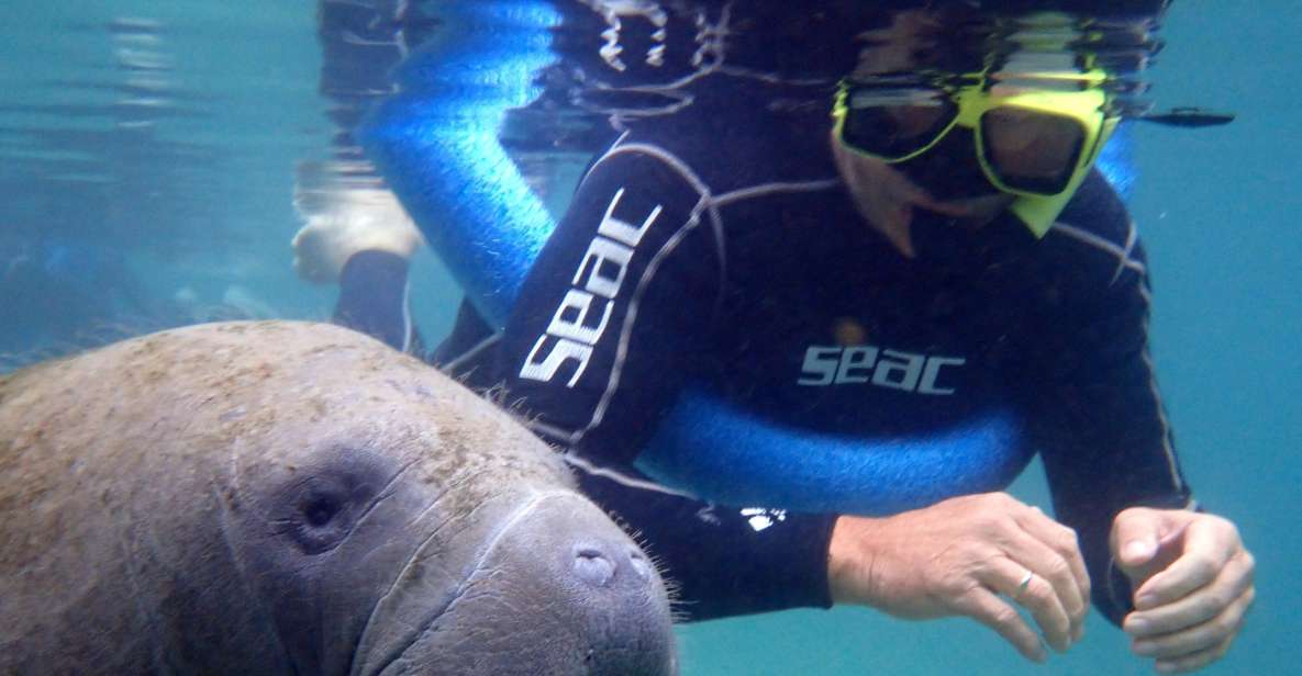 Crystal River: Manatee Snorkel Tour W/ In-Water Photographer - Customer Feedback