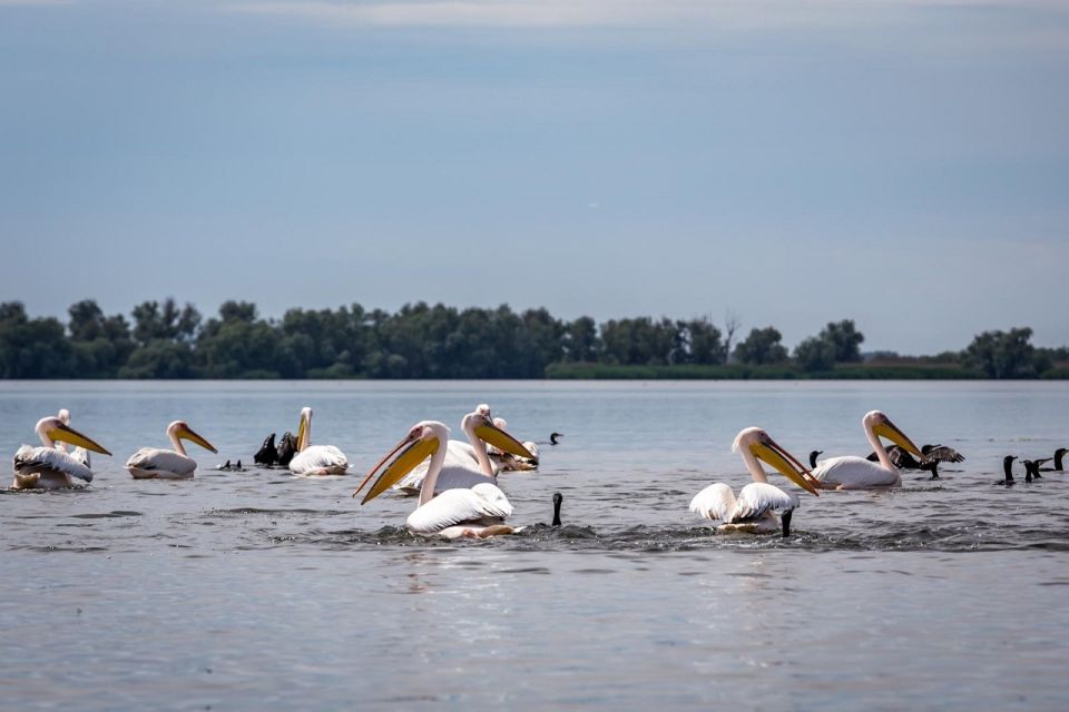 Danube Delta - 2-Day Tour From Bucharest - Customer Reviews and Feedback