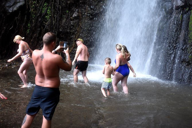 Dark View Falls , Wallilabou , Fort Charlotte, Kingstown From IV Tours - Free Cancellation