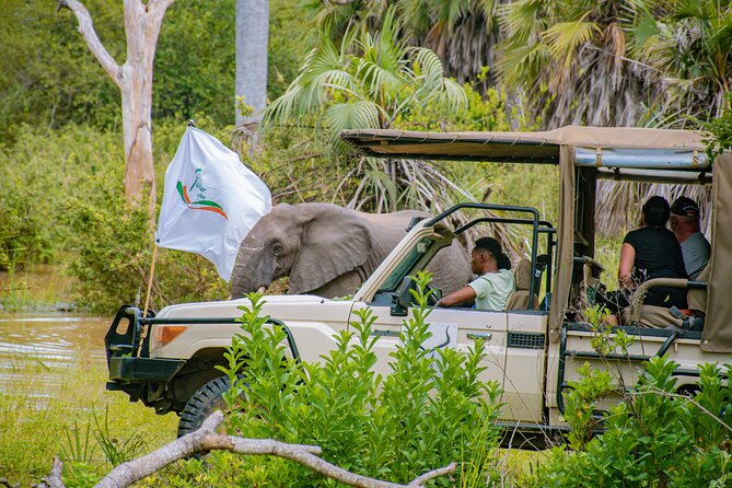 Day Safari Tour to Mikumi National Park - Exceptional Customer Service