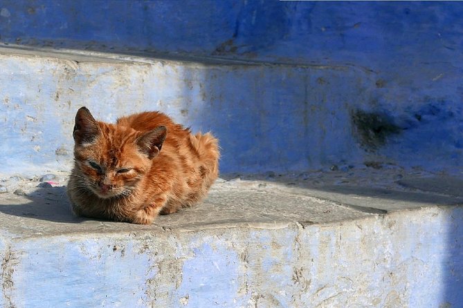 Day Trip From Fes to Chefchaouen - Exploring the Walled Kasbah