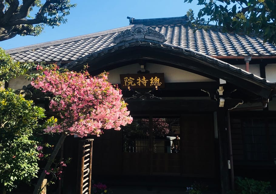 Daytime Hanami (Cherry Blossom Time) With a Local - Important Information