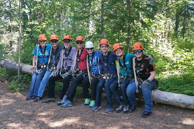 Denali Zipline Tour in Talkeetna, AK - Stunning Views of the Alaska Range