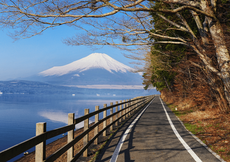 Discover Mount Fuji: Private Car/Van Day Tour From Tokyo - Tour Customization