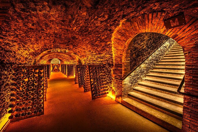 Discover The Cellars in The Heart of The Countryside in Champagne - Accessibility and Suitability Information