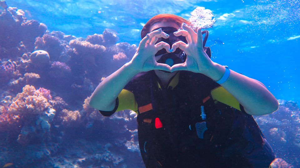 Diving Tour in Alanya - Recap