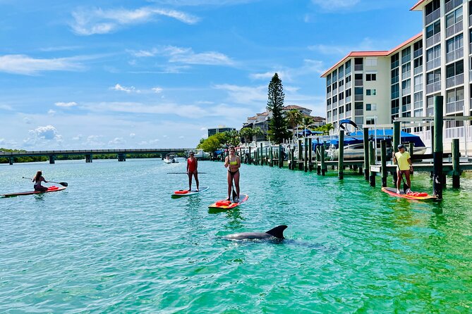 Dolphin and Manatee Adventure Tour of Fort Myers - Paddleboard Equipment and Suitability