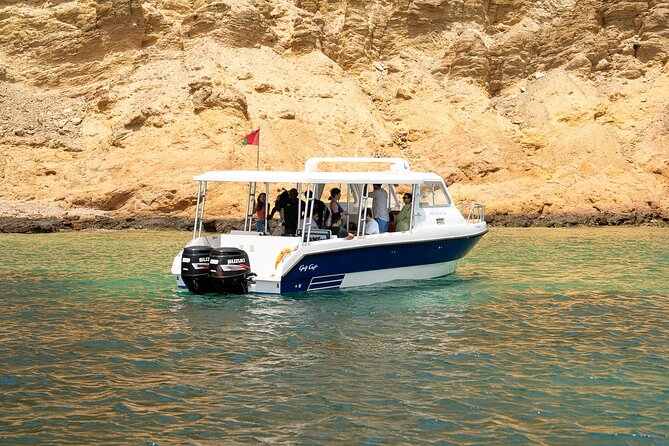 Dolphin Watching in Muscat - Traveler Reviews