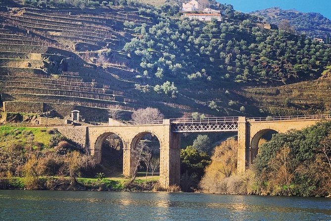 Douro Valley Full-Day Private Tour From Porto - Discover Portugals Wine Region