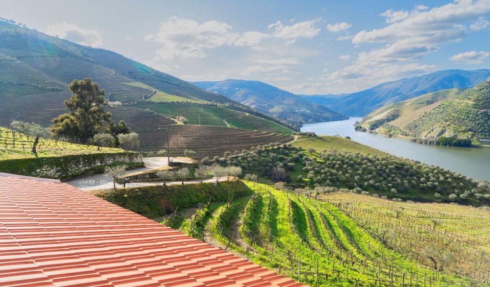 Douro Valley Private Tour With 2 Wine Tastings - Flexible Booking Options