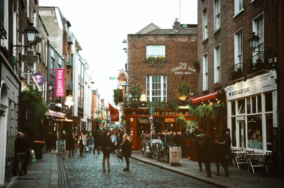 Dublin: Historic Guided Walking Tour & Dublin Castle Ticket - Inclusions