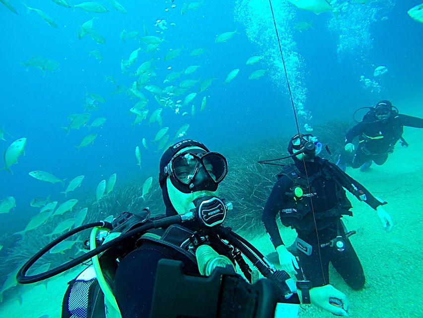 Dubrovnik 2-Hour Uncertified Divers Introductory Dive - Preparing for the Dive