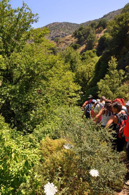 Elounda: Private Tour to Rihti Waterfalls and Mochlos - Engage With Locals