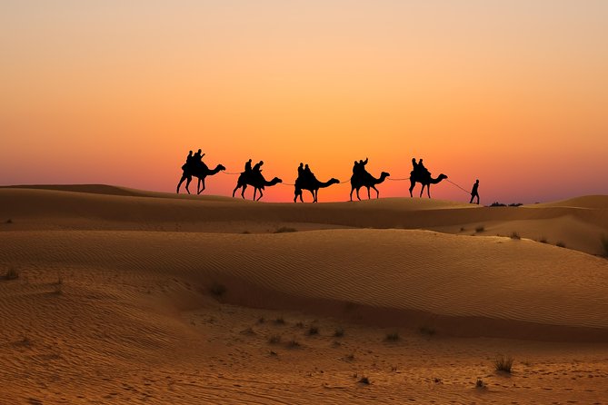 Evening Desert Safari in Dubai, Sandboard & BBQ Dinner - Group Size and Accessibility