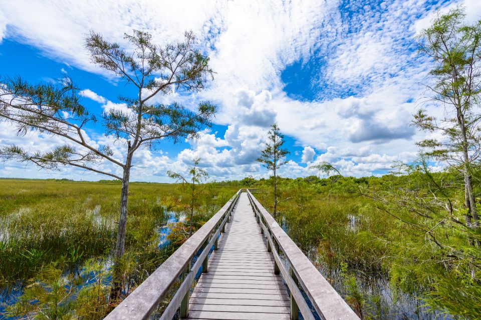 Everglades & Big Cypress Self Guided Driving Tour Bundle - Cultural Insights