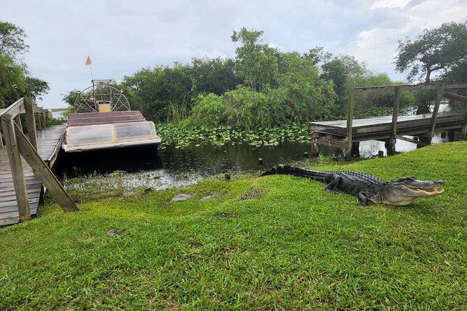 Everglades National Park Biologist Led Adventure: Cruise, Hike + Airboat - Airboat Ride in the Everglades