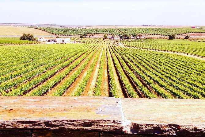 Évora - Inside the Olive Oil, Wine, and Cork Triangle (Private Tour) - Explore the Chapel of Bones