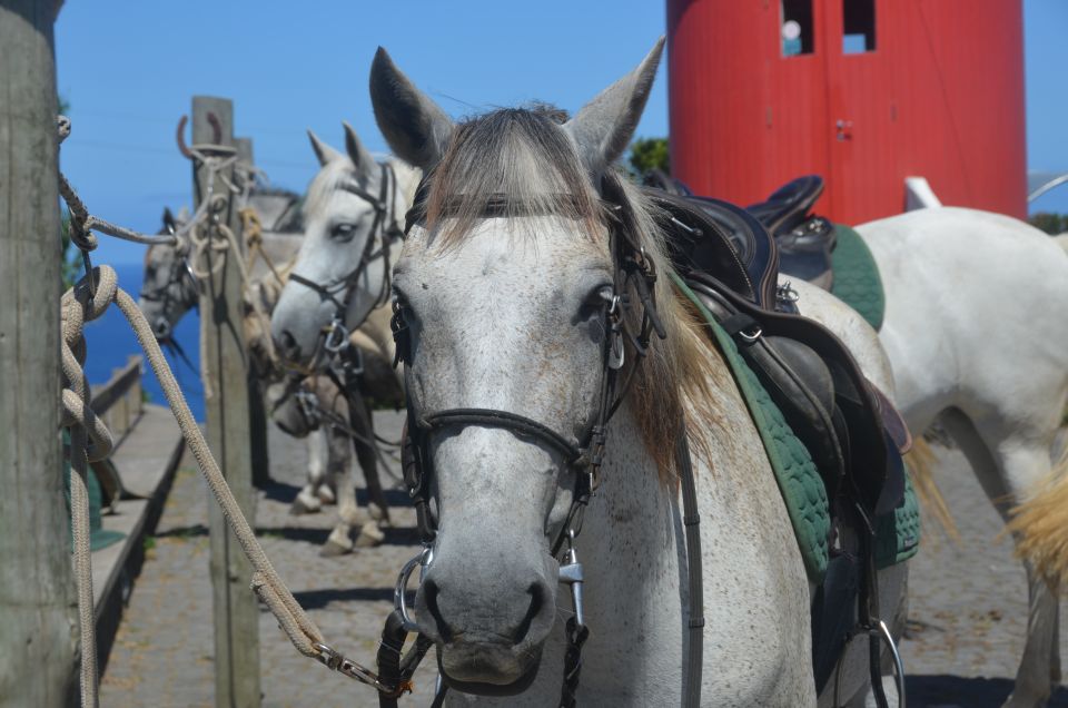 Faial Island: Horseback Riding on Lusitano Trail - Exploring Picturesque Villages