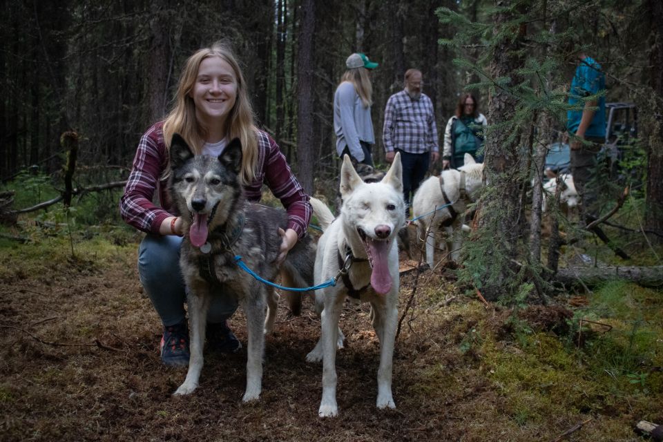 Fairbanks: Summer Mushing Cart Ride and Kennel Tour - Unique Dryland Mushing