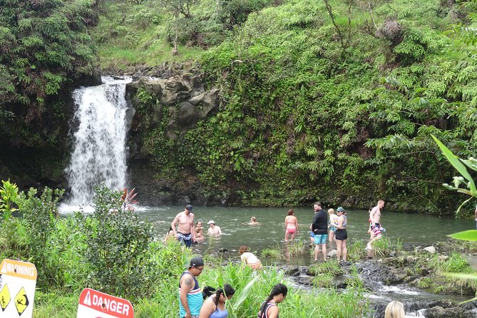 Famous Road to Hana Waterfalls and Lunch by Mercedes Van - Guides and Expertise