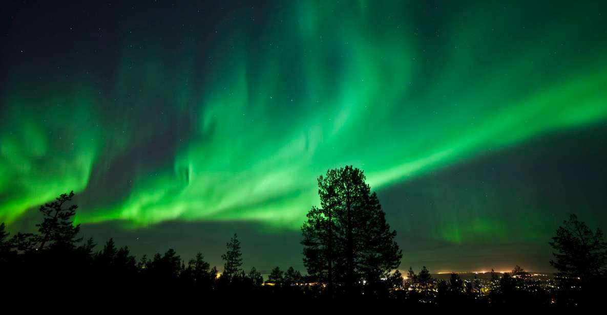 Finnish Laplands: Capture The Auroras in Arctic Nature - Experiencing Finnish Laplands in Winter