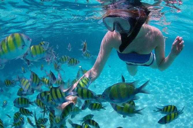 Freeport Snorkeling Peterson Cay National Park and Hotel Day Pass - Cancellation Policy