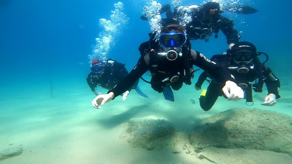 From Barcelona: Tossa De Mar Scuba Diving and 3-Course Meal - Transportation Information