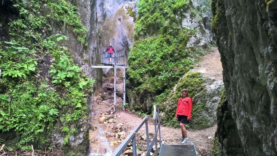 From Brasov: Day Trip to the Seven Ladders Canyon - Hike and Climb