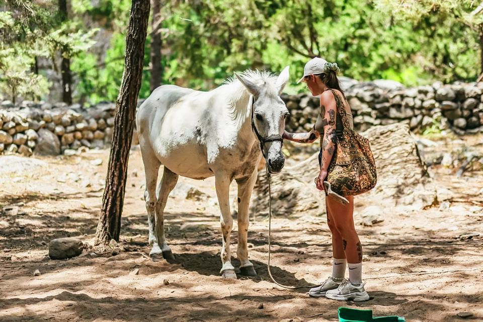 From Chania: Full-Day Samaria Gorge Trek Excursion - Pickup Locations