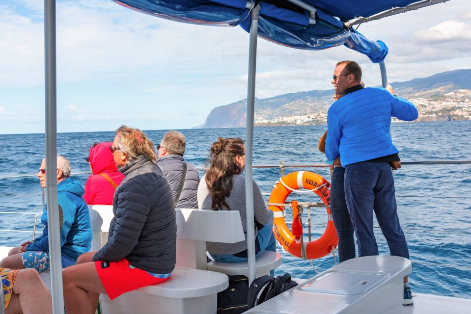 From Funchal: Madeira Dolphin and Whale Watching Tour - Customer Reviews