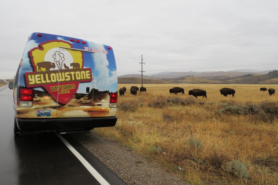 From Jackson: Yellowstone Day Tour Including Entrance Fee - Booking Details