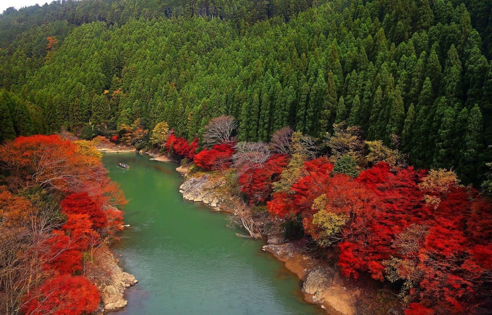 From Osaka to Kyoto: Arashiyama Bamboo Forest Tour - Meeting Point and Ticket Purchase