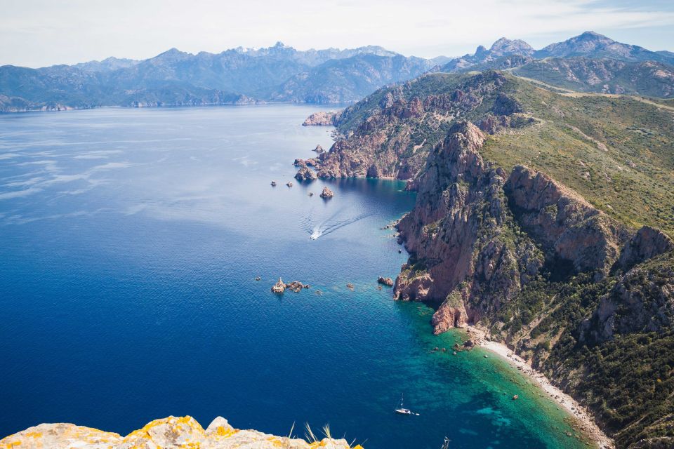 From Porto: Scandola and Calanche De Piana Boat Tour - Endemic Flora and Birdlife