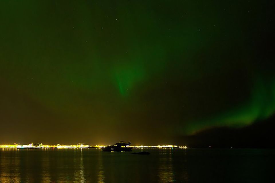 From Reykjavik: New Years Fireworks by Boat - Amenities and Services Onboard