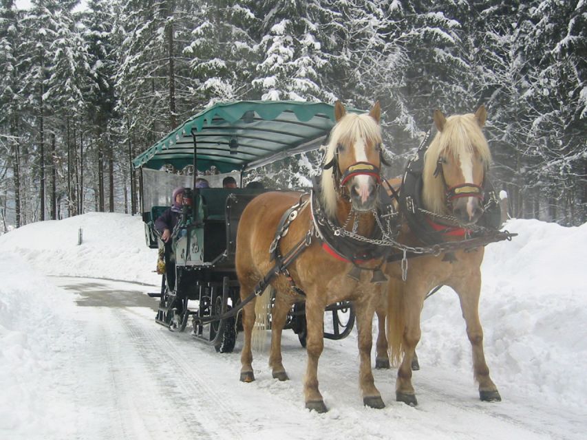 From Salzburg: Romantic Sleigh Ride Through the Countryside - Exploring the Village