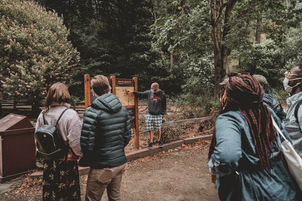 From San Francisco: Muir Woods Redwood Forest Tour - Customer Reviews and Ratings