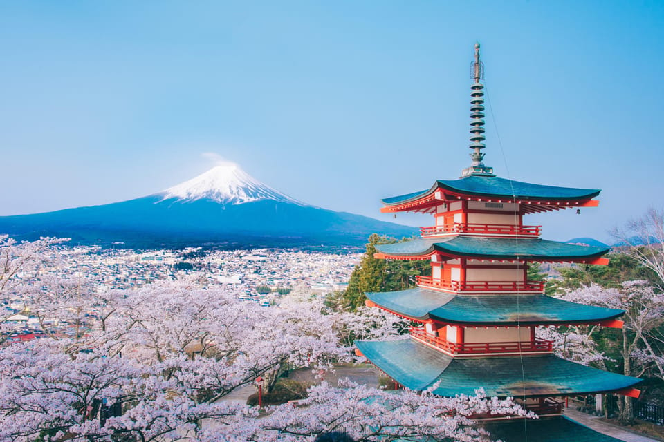 From Tokyo: Mount Fuji Highlight Photo Spots Full-Day Tour - Customer Reviews