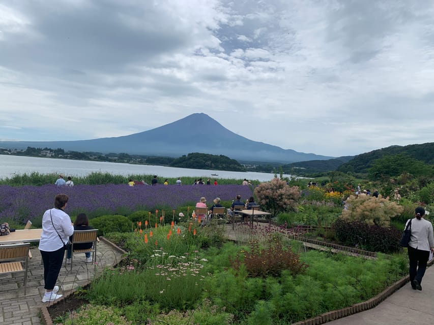 From Tokyo: Mount Fuji Sightseeing Private Group Tour - Customer Reviews and Ratings