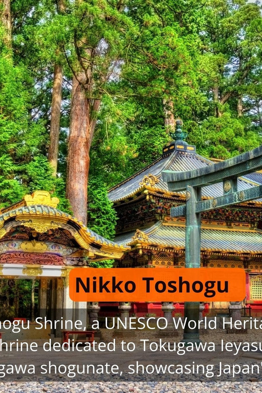 From Tokyo: Nikko Private Full-Day Sightseeing Day Trip - What to Bring and Important Information