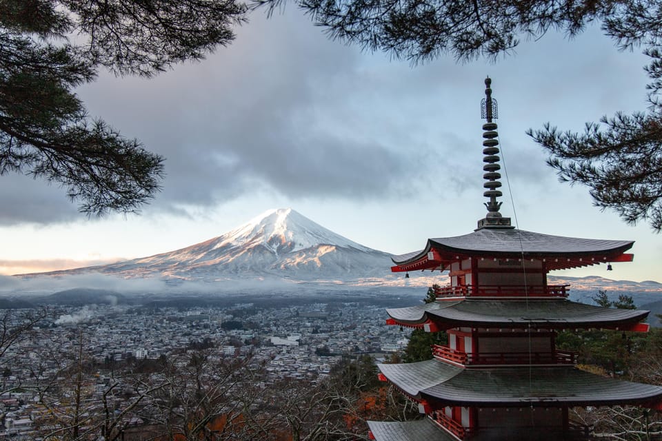 From Tokyo: Private Mount Fuji and Hakone Day Trip - Transportation and Amenities