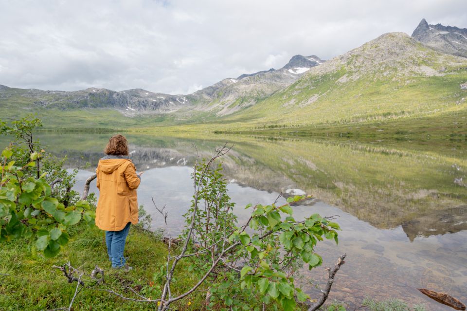 From Tromsø: Arctic Roadtrip - Journey Through Tromsos Scenic Routes