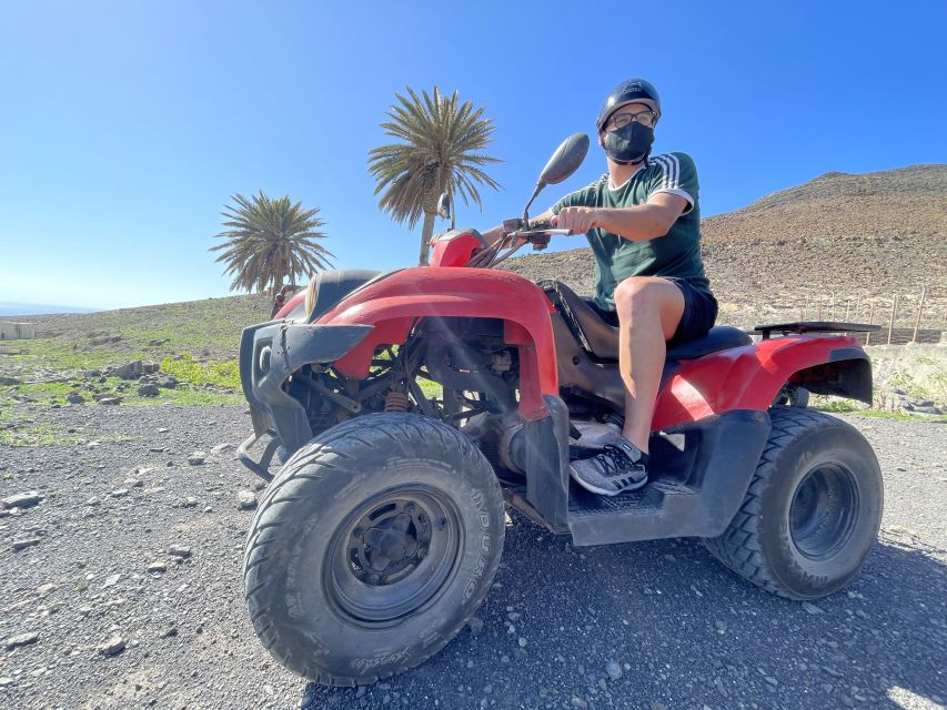 Fuerteventura: Jandía Natural Park & The Puertito Quad Tour - Language Options and Age Restrictions